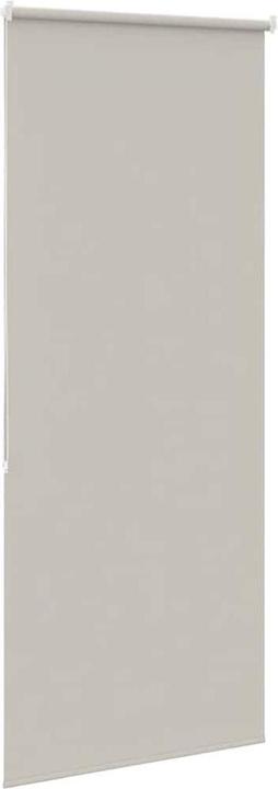 Produktbild vidaXL Duschrollo (110 x 240 cm)