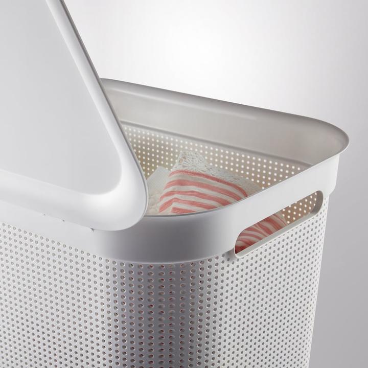 Actual product image Rotho Breezes 1 (50 l)