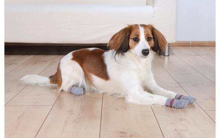 Produktbild Trixie Hundesocken (L, XL, Hundesocken)
