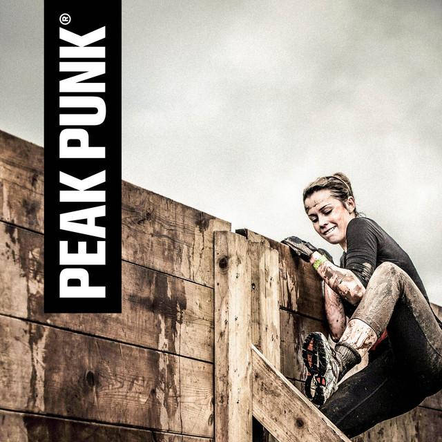 Produktbild Peak Punk Bio Protein Bar (Dark Chocolate, 12 Stk., 55 g)