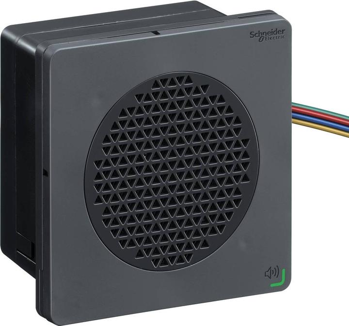 Produktbild Schneider Electric Black Voice Alarm, DIN96, PNP, 24Vdc