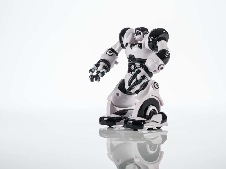 Image du produit WowWee Robot Mini Robosapien