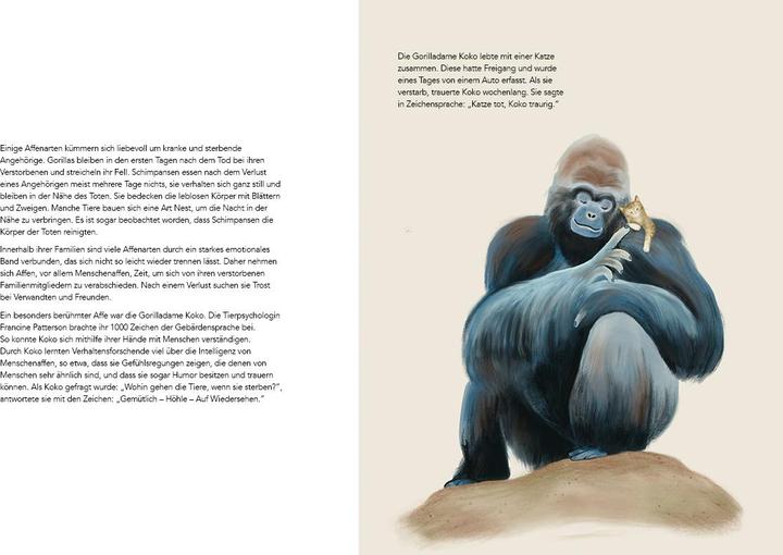 Image du produit Jumbo Wie Tiere trauern (Allemand, Carla Swiderski, Hanna Mller, 2022)