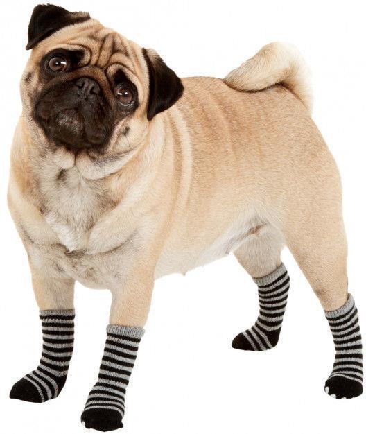 Produktbild Flamingo Pet Socks 4 Pcs/Set L Black/Grey