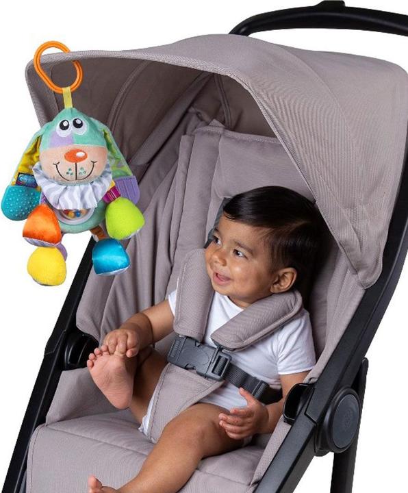 Image du produit Playgro Chien d'activité - bleu (10188402)