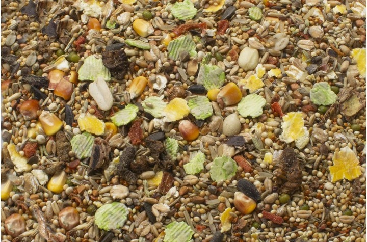 Image du produit JR Farm Goûter aux gerbilles (0.60 kg, 1 x)