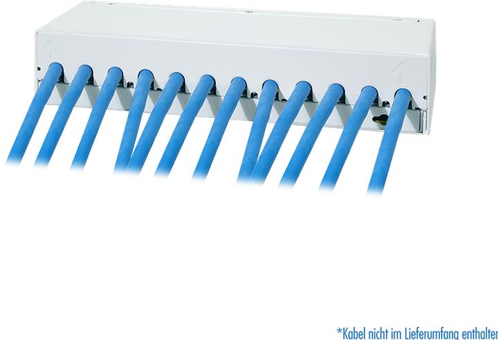 Produktbild LogiLink Patch Panel 12 Port mit 12 Cat.6A Keystone Modulen