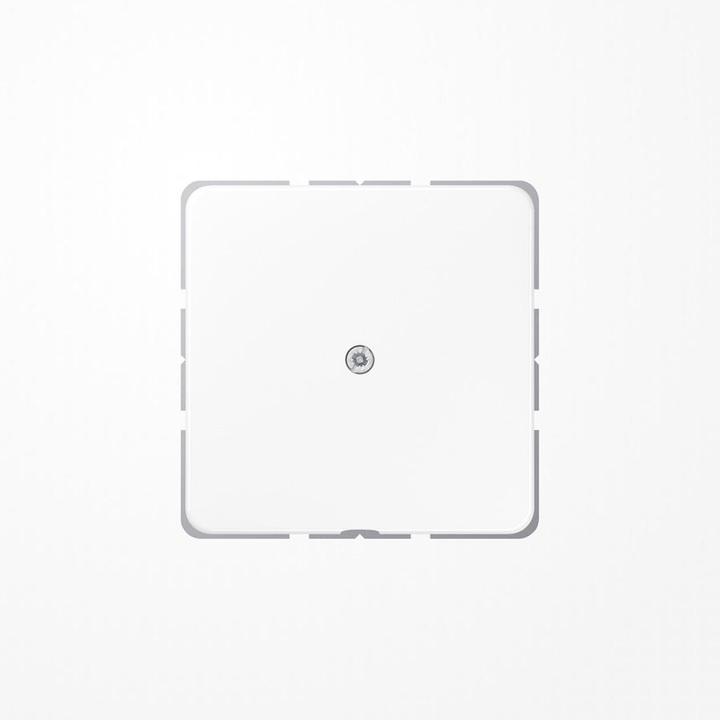 Produktbild JUNG Leitungsauslass