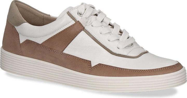 Pettine di taupe