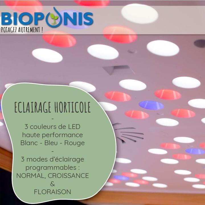 Immagine prodotto Bioponis Gemüsegarten