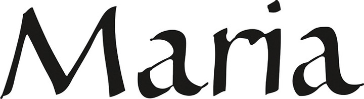 Produktbild Rotring ArtPen Calligraphy (Schwarz)