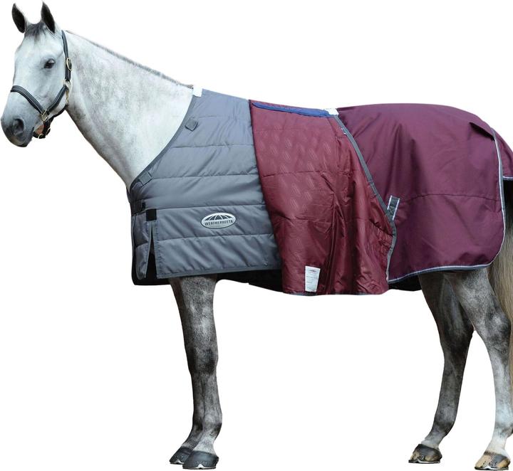 Immagine prodotto Weatherbeeta Tappeto per cavalli Comfitec Plus Dynamic II ComboCollar