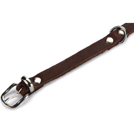 Thumbnail - Beeztees BZ LEDERHALSBAND BRAUN 27X10 (27, Hund, Allgemein), Halsband + Leine
