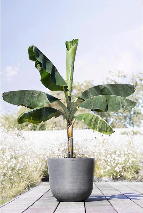 Actual product image Ecopots Oslo (55 cm)
