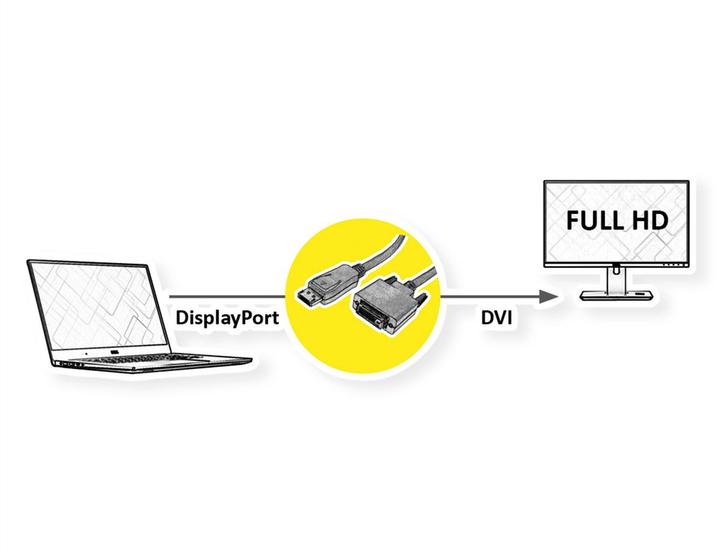 Produktbild Roline DisplayPort — DVI (2 m)