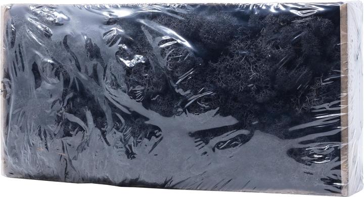 Actual product image Flowerbox Iceland moss