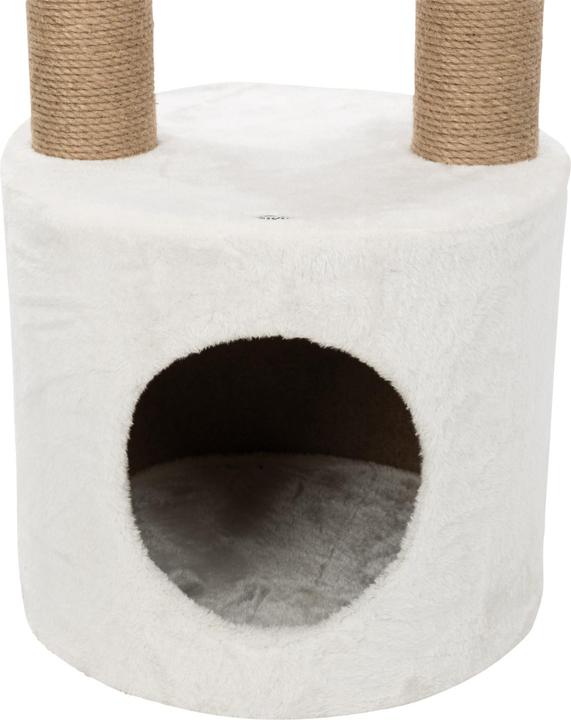Actual product image Trixie Scratching post (250 cm, Brown, White)