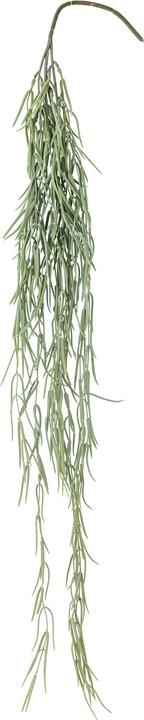 Produktbild Bloomingville Tilandsia (110 cm)