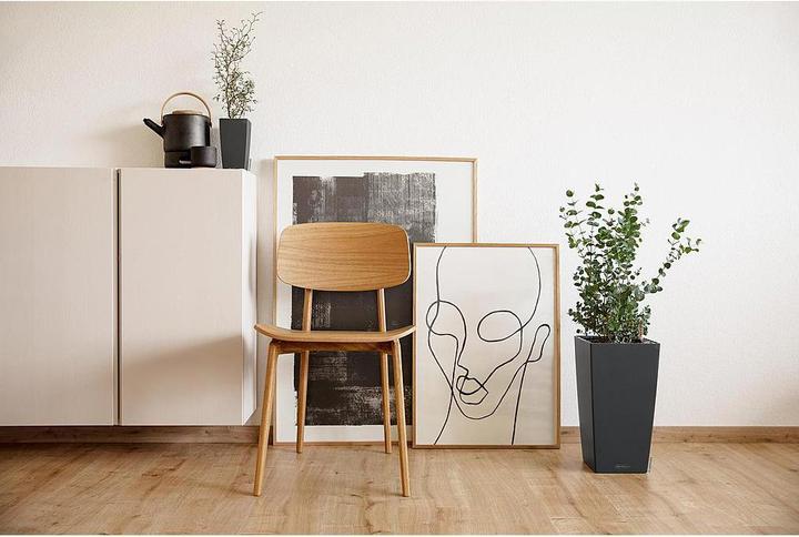 Produktbild Lechuza Maxi Cubi (14 cm)