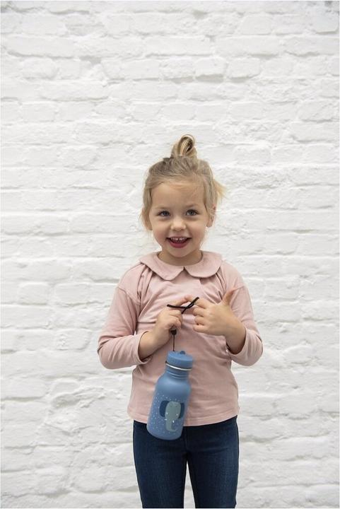 Actual product image Trixie Bottle (0.50 l)