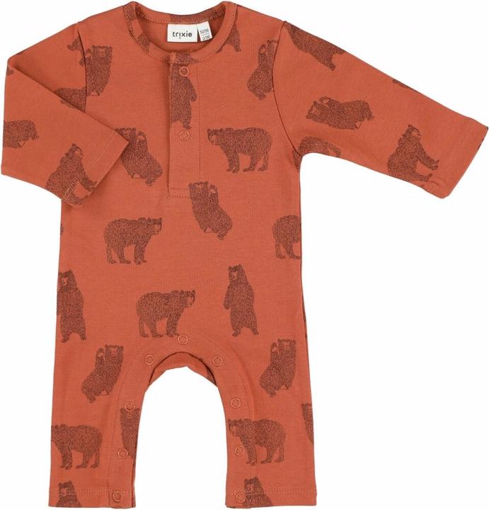 Brave Bear