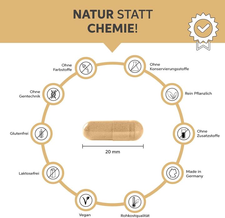 Image du produit Eltabia Coquilles de psyllium (500 pièce(s), Capsules)