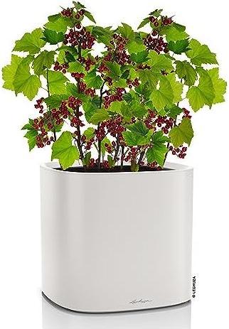 Produktbild Lechuza Pila Color Planter (35 x 35 x 32.60 cm)