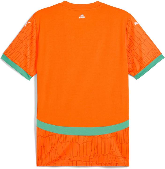 Actual product image Puma FIF Home Jersey Replica (S)