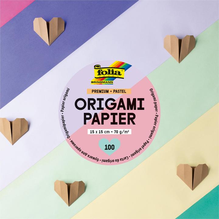 Image du produit Folia Dépliants pastel multicolores 100 feuilles (70 g/m², 100x)