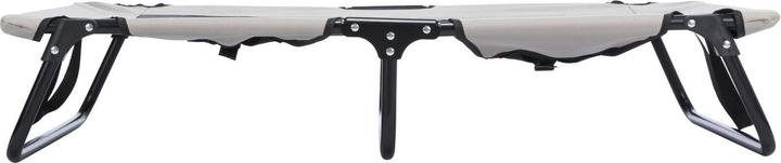 Actual product image Trixie Dog lounger Strong Edition, 99 x 19 x 60 cm (Dog)
