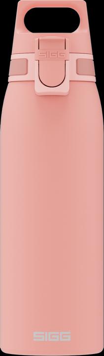 Rose timide
