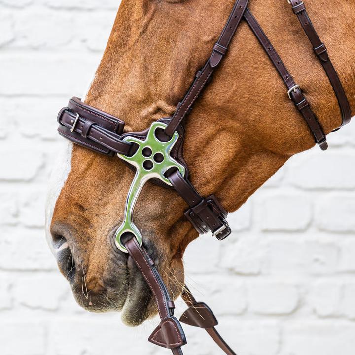 Image du produit Dy'on New English Collection