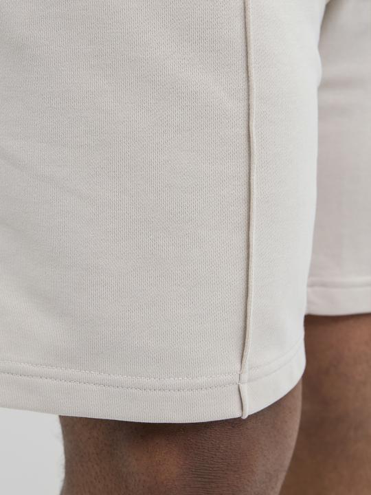 Actual product image Jack & Jones Plus Size Loose Fit Sweat-Shorts Sweat-Shorts (44)