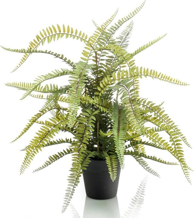 Actual product image Emerald Artificial plant (70 cm)