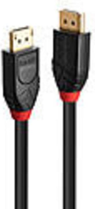 Produktbild Lindy DisplayPort-Kabel (10 m)