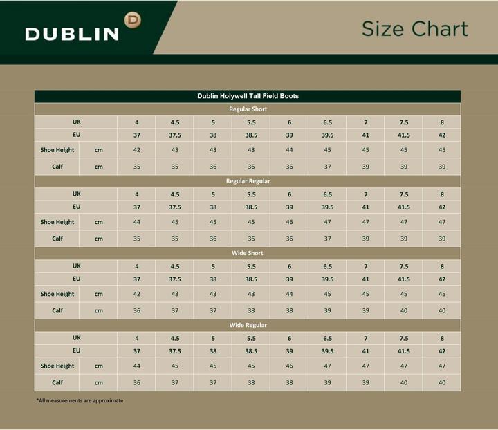 Immagine prodotto Dublin Stivali da equitazione alti in pelle Holywell (38)