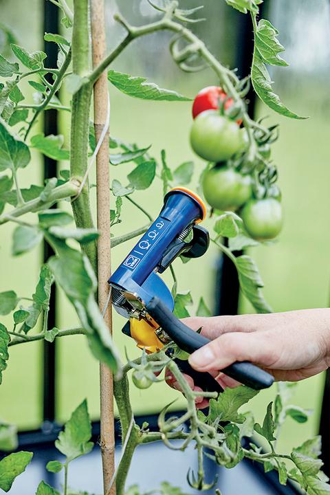 Image du produit Rapid GP238 Pince à lier (160 mm)