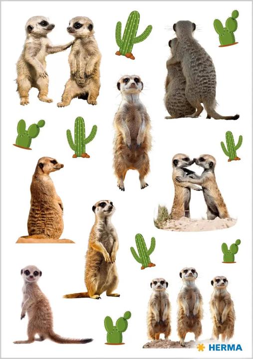 Produktbild HERMA Sticker DECOR Erdmännchen, Papier (48 Sticker)