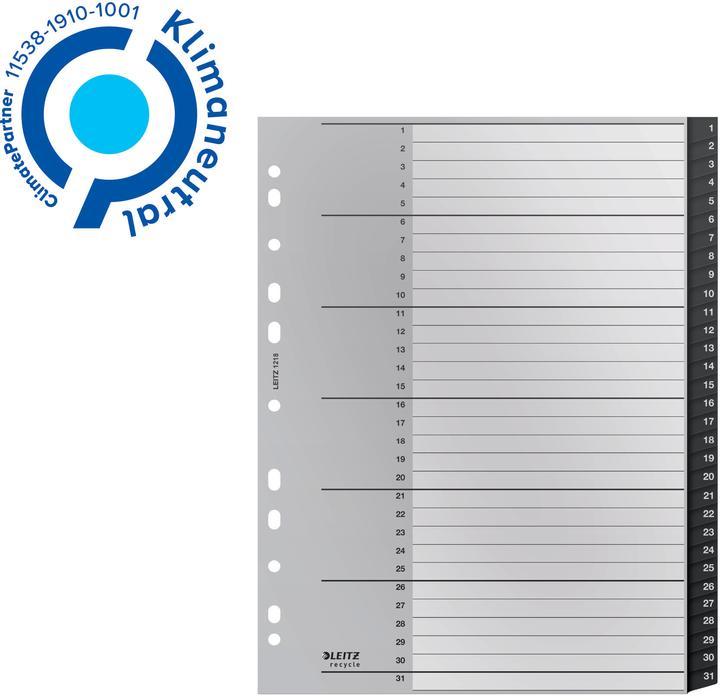 Produktbild Leitz Register Recycle 1-31