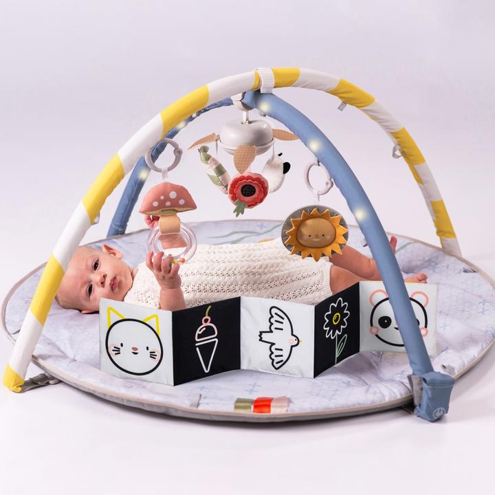 Image du produit Taf Toys Melody Bloom