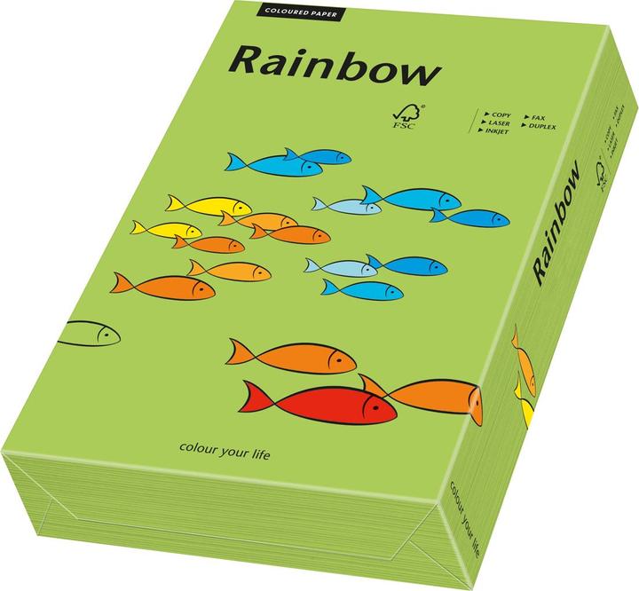Image du produit Papyrus Papier Rainbow Vert A3 (160 g/m², 250 x, A3)