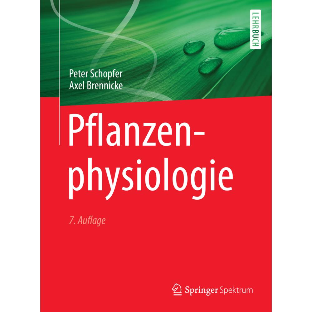Pflanzenphysiologie, Fachbücher von Peter Schopfer, Axel Brennicke