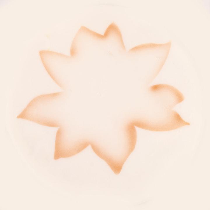 Actual product image Martellato Airbrush stencil lotus flower