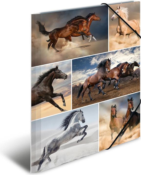 Image du produit HERMA Porte-documents A4 Motif (A4, 1 x)