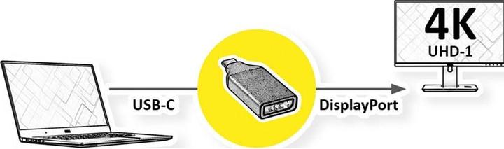 Produktbild Roline DisplayPort—USB Typ C (DP, 5.25 cm)