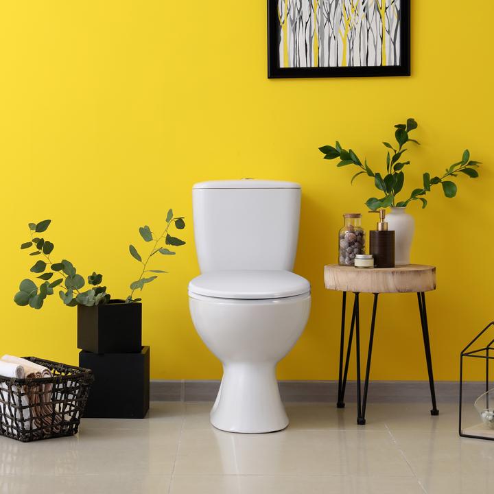 Actual product image Relaxdays WC-Sitz