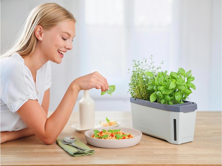 Actual product image Gusta Garden Harry Herbs (35.80 x 15 x 25 cm)