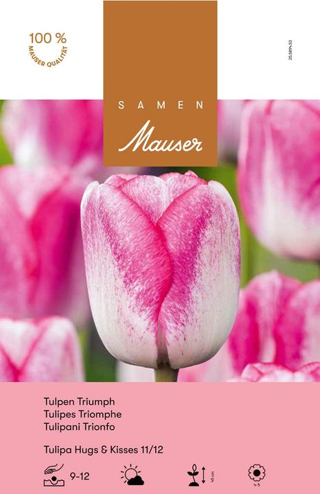 Produktbild Samen Mauser Tulpen Triumph Hugs & Kisses (Blumenzwiebel)