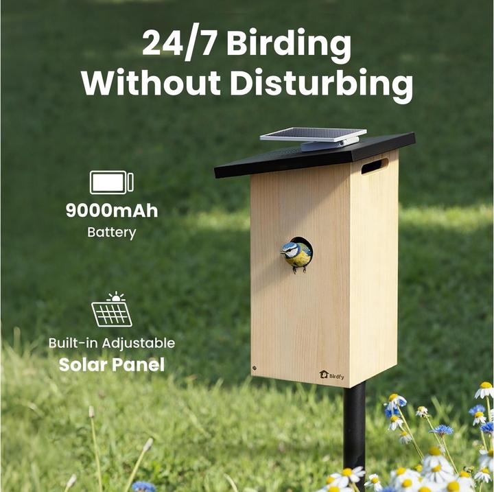 Actual product image Birdfy Nesting box with camera and solar