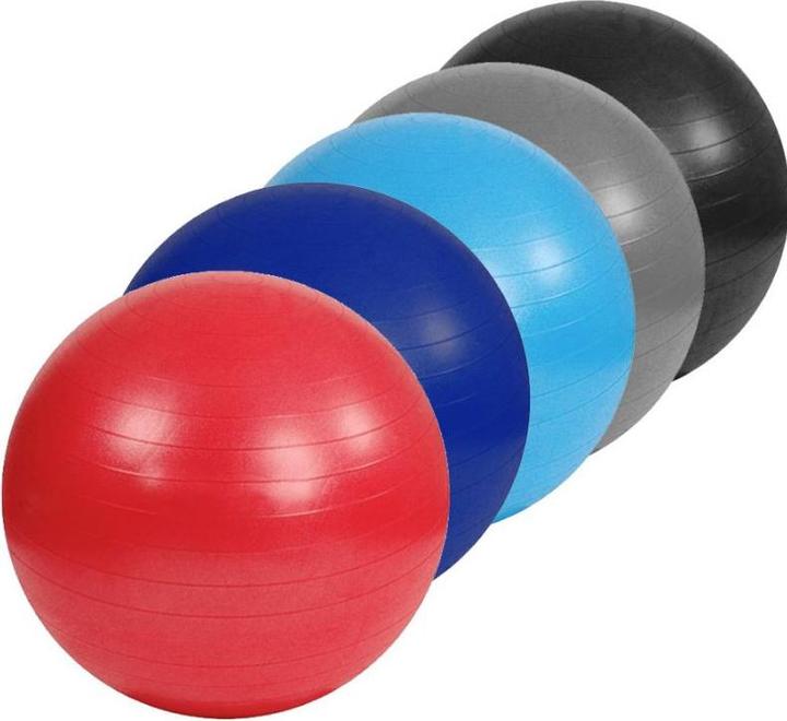 Productafbeelding Sportech Anti-Barst Gymbal S825760 (55 cm)